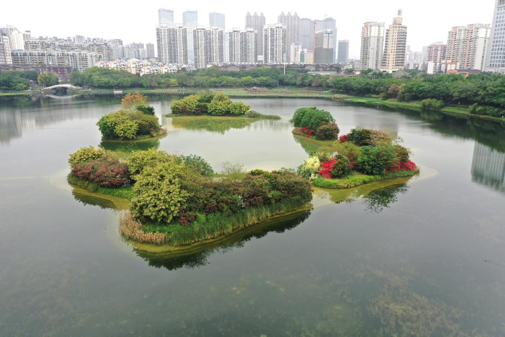 一湖春水映花紅